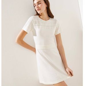 Textured Yoke Sweater Knit Dress